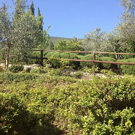 Agriturismo Marfuga *